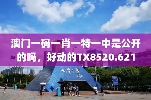 澳门一码一肖一特一中是公开的吗，好动的TX8520.621