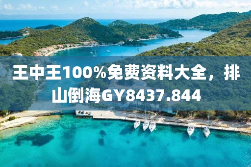王中王100%免费资料大全，排山倒海GY8437.844