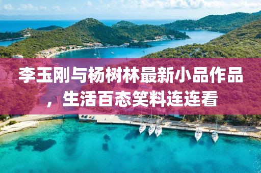 李玉刚与杨树林最新小品作品，生活百态笑料连连看