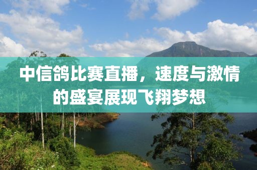 中信鸽比赛直播，速度与激情的盛宴展现飞翔梦想