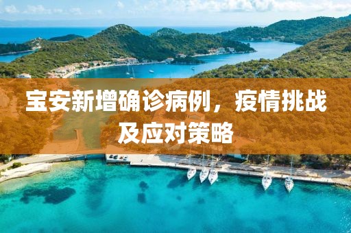 宝安新增确诊病例，疫情挑战及应对策略