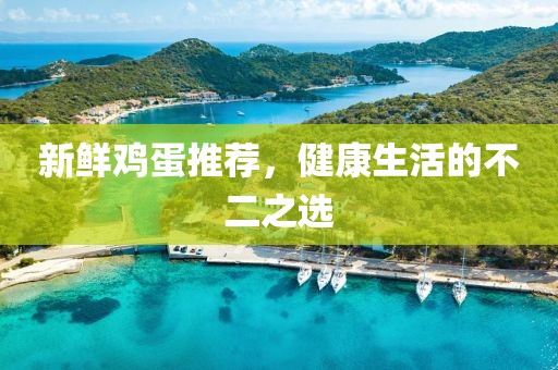 新鲜鸡蛋推荐，健康生活的不二之选