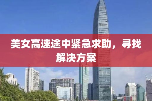 美女高速途中紧急求助，寻找解决方案