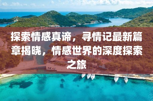 探索情感真谛，寻情记最新篇章揭晓，情感世界的深度探索之旅