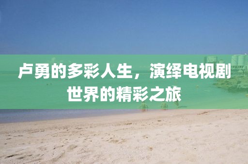 卢勇的多彩人生，演绎电视剧世界的精彩之旅