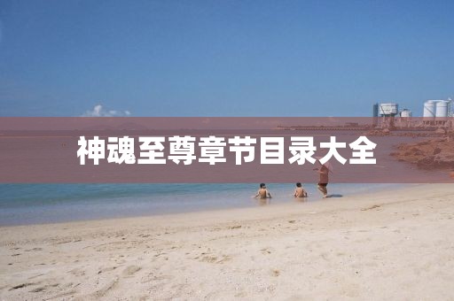 神魂至尊章节目录大全