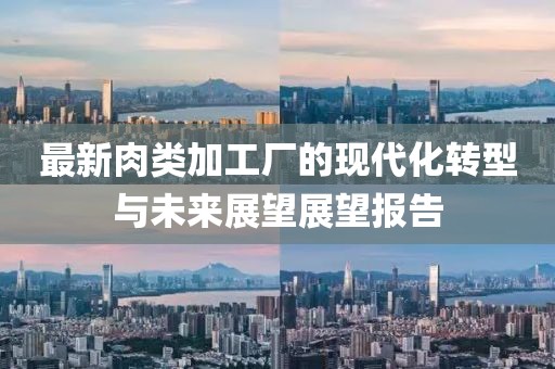 最新肉类加工厂的现代化转型与未来展望展望报告