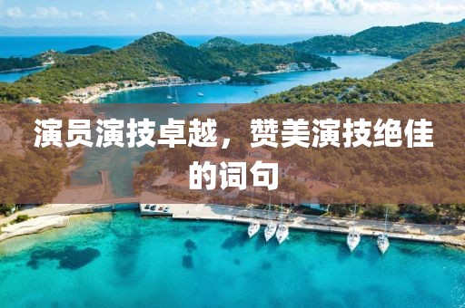 演员演技卓越，赞美演技绝佳的词句