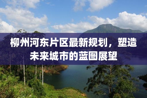 柳州河东片区最新规划，塑造未来城市的蓝图展望