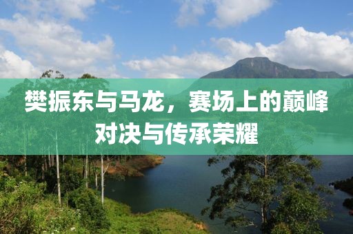 樊振东与马龙，赛场上的巅峰对决与传承荣耀