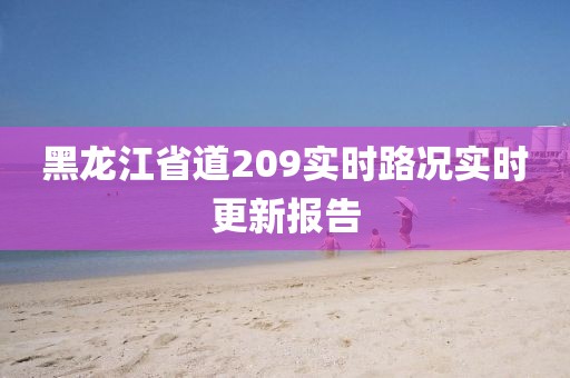黑龙江省道209实时路况实时更新报告