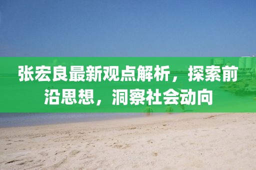 张宏良最新观点解析，探索前沿思想，洞察社会动向