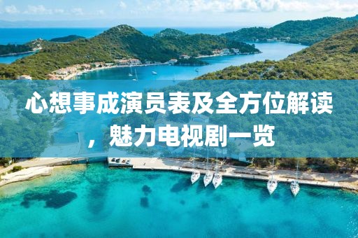 心想事成演员表及全方位解读，魅力电视剧一览