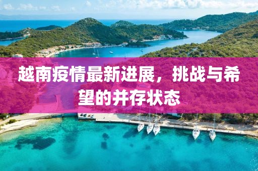 越南疫情最新进展，挑战与希望的并存状态