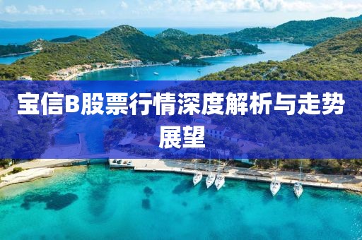 宝信B股票行情深度解析与走势展望