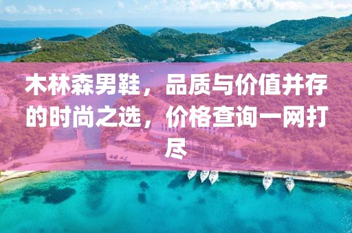 木林森男鞋，品质与价值并存的时尚之选，价格查询一网打尽