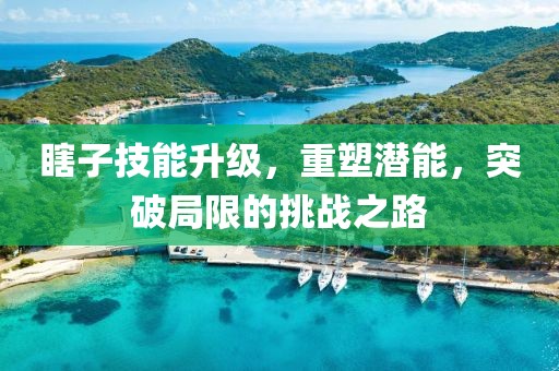 瞎子技能升级，重塑潜能，突破局限的挑战之路