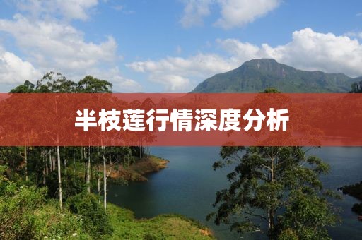 我们的产品 第702页