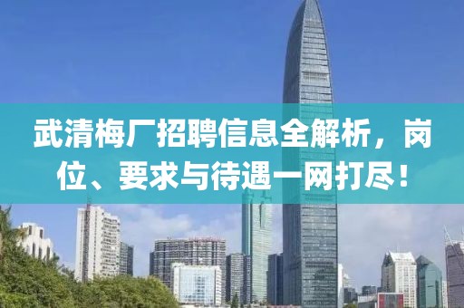 武清梅厂招聘信息全解析，岗位、要求与待遇一网打尽！