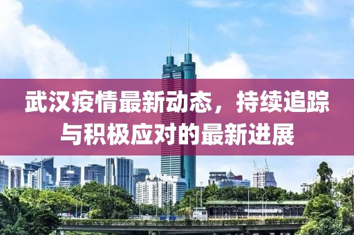 武汉疫情最新动态，持续追踪与积极应对的最新进展