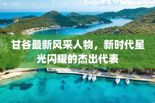 甘谷最新风采人物，新时代星光闪耀的杰出代表