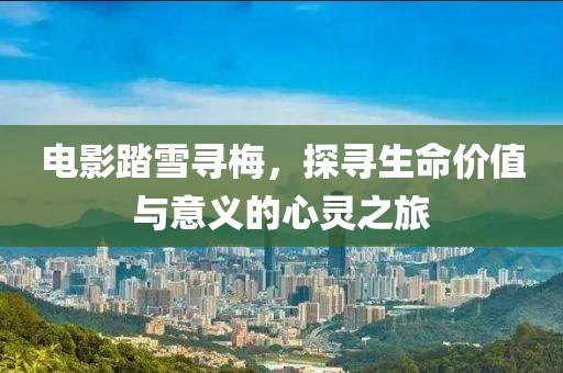 电影踏雪寻梅，探寻生命价值与意义的心灵之旅