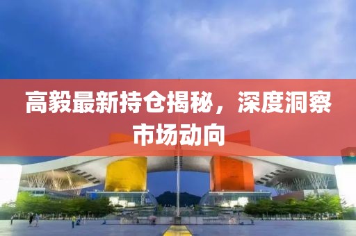 高毅最新持仓揭秘，深度洞察市场动向