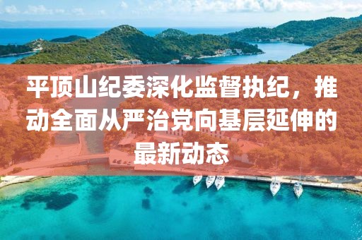 平顶山纪委深化监督执纪，推动全面从严治党向基层延伸的最新动态