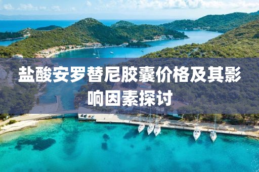 盐酸安罗替尼胶囊价格及其影响因素探讨