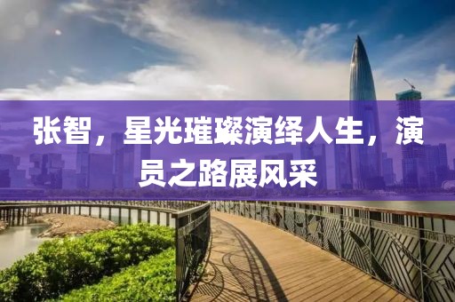 张智，星光璀璨演绎人生，演员之路展风采
