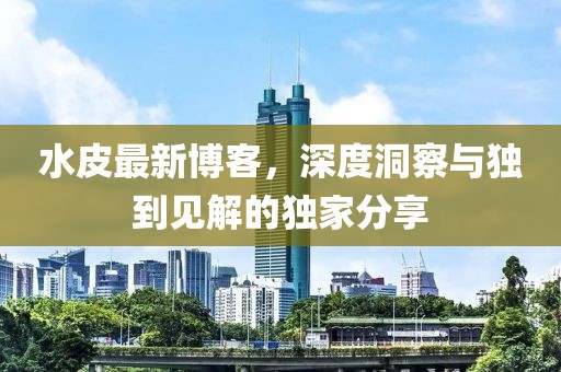 水皮最新博客，深度洞察与独到见解的独家分享
