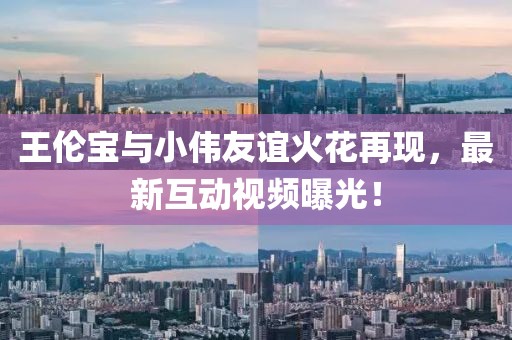 王伦宝与小伟友谊火花再现，最新互动视频曝光！