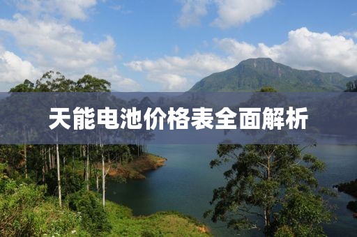 天能电池价格表全面解析