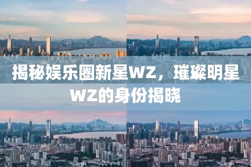 揭秘娱乐圈新星WZ，璀璨明星WZ的身份揭晓