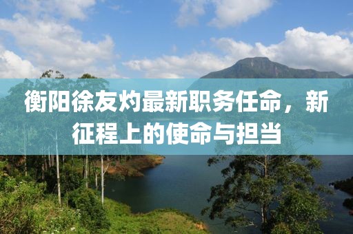 衡阳徐友灼最新职务任命，新征程上的使命与担当
