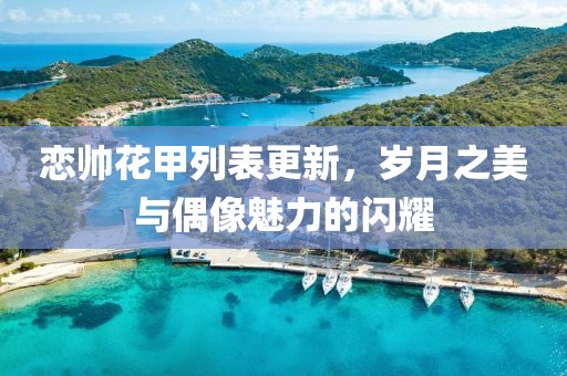 恋帅花甲列表更新，岁月之美与偶像魅力的闪耀