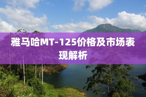 雅马哈MT-125价格及市场表现解析
