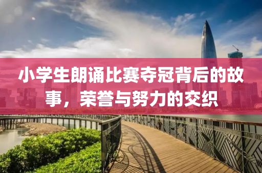 小学生朗诵比赛夺冠背后的故事，荣誉与努力的交织