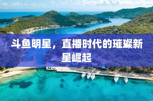 星星打烊 第260页