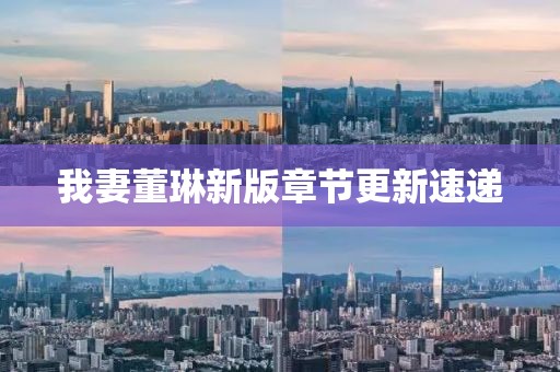 我妻董琳新版章节更新速递
