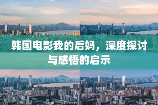 韩国电影我的后妈，深度探讨与感悟的启示