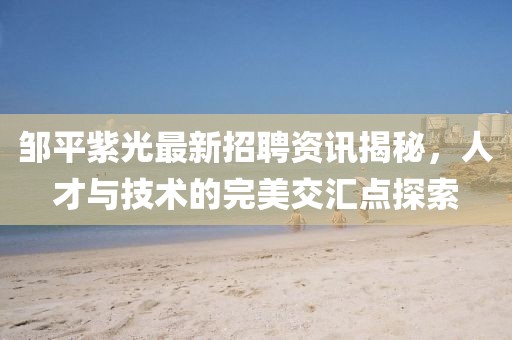 邹平紫光最新招聘资讯揭秘，人才与技术的完美交汇点探索