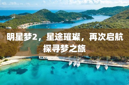 明星梦2，星途璀璨，再次启航探寻梦之旅