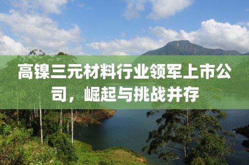 高镍三元材料行业领军上市公司，崛起与挑战并存