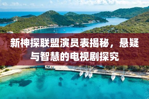 新神探联盟演员表揭秘，悬疑与智慧的电视剧探究