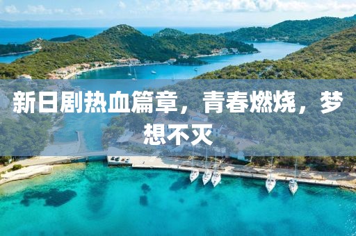 新日剧热血篇章，青春燃烧，梦想不灭