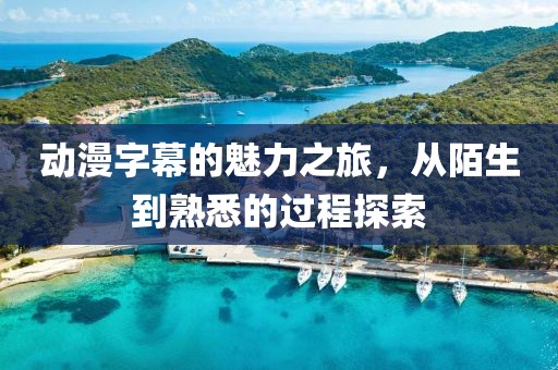 动漫字幕的魅力之旅，从陌生到熟悉的过程探索