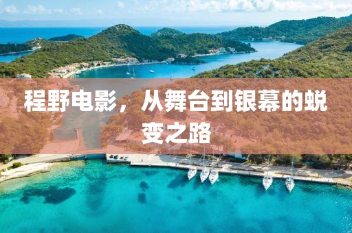 程野电影，从舞台到银幕的蜕变之路