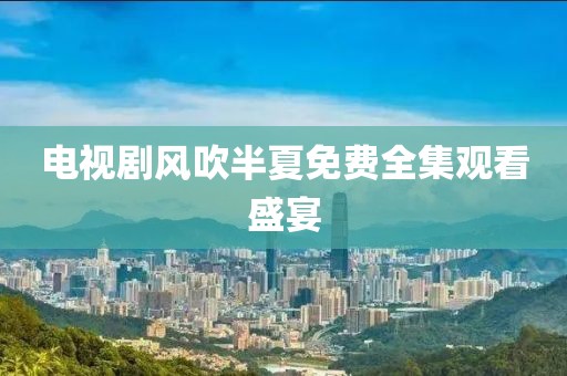 电视剧风吹半夏免费全集观看盛宴