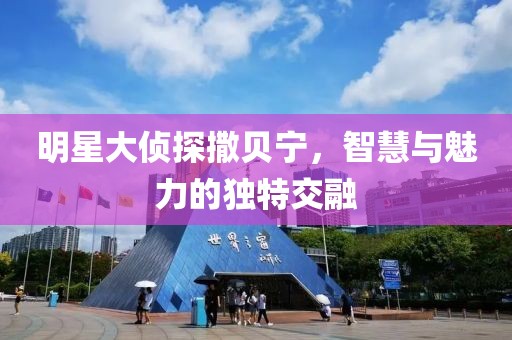 明星大侦探撒贝宁，智慧与魅力的独特交融